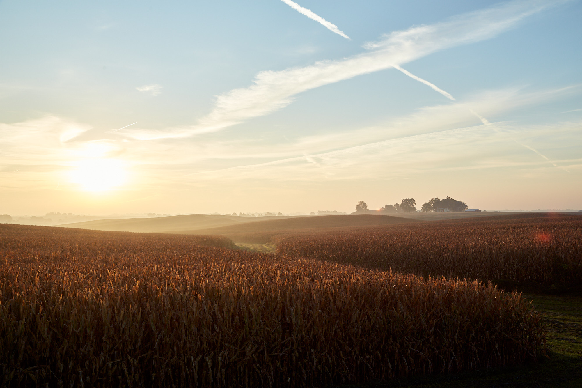 Iowa Sunset | Agriculture Lifestyle Photography
