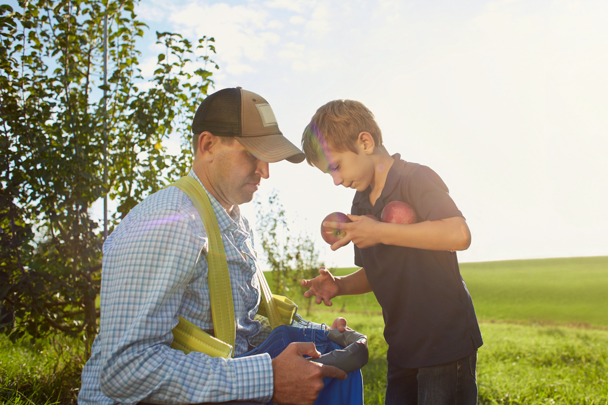 Father and Son Apple Picking | Agriculture Lifestyle Photography