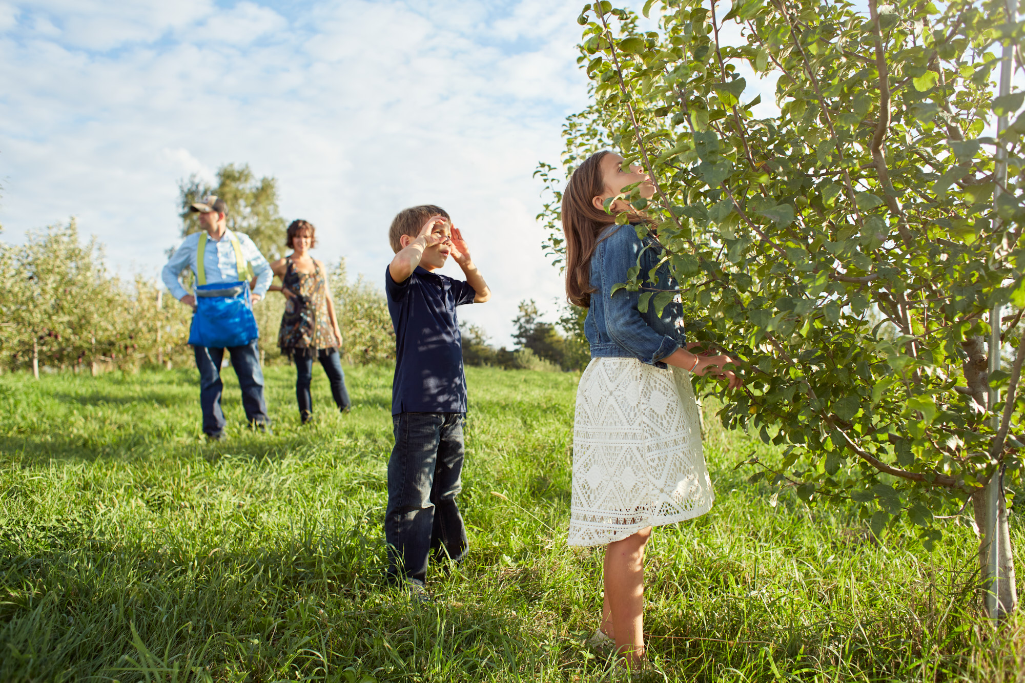 Children and Apple Orchard | Agriculture Lifestyle Photography