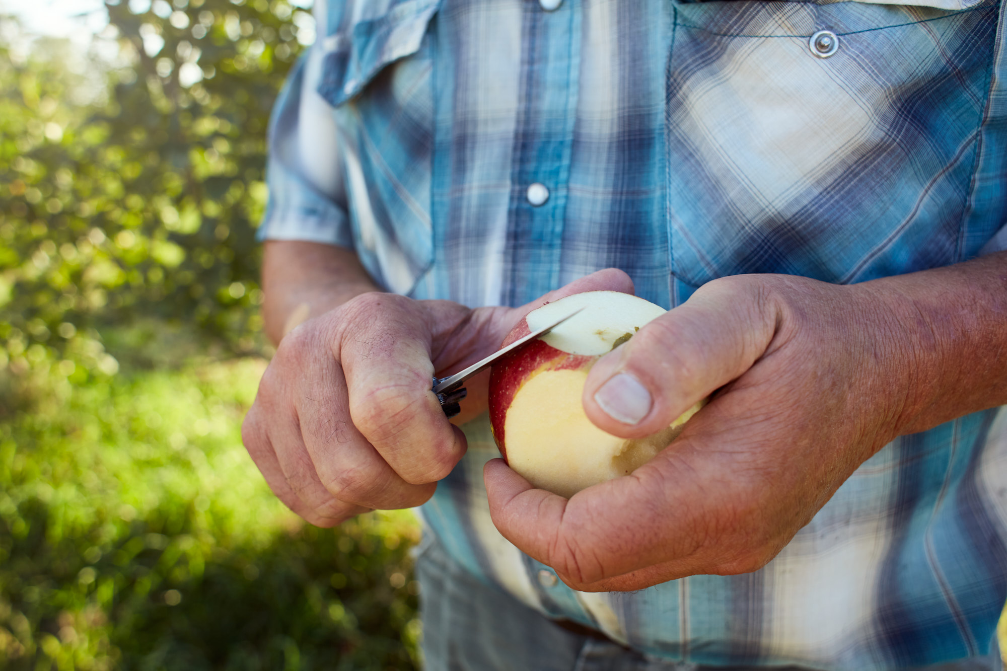 Farmer Cutting Apple | Agriculture Lifestyle Photography