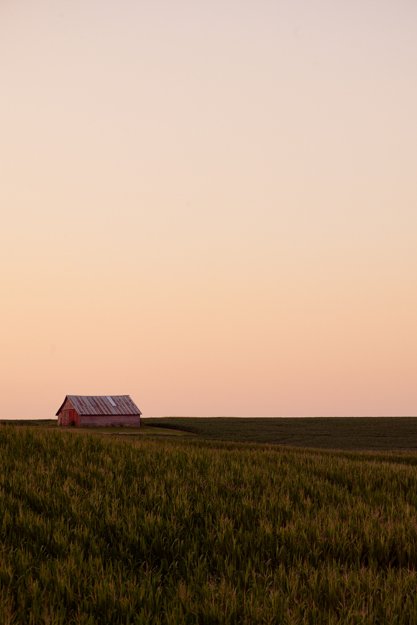 Red Barn at sunset | Agriculture Lifestyle Photography