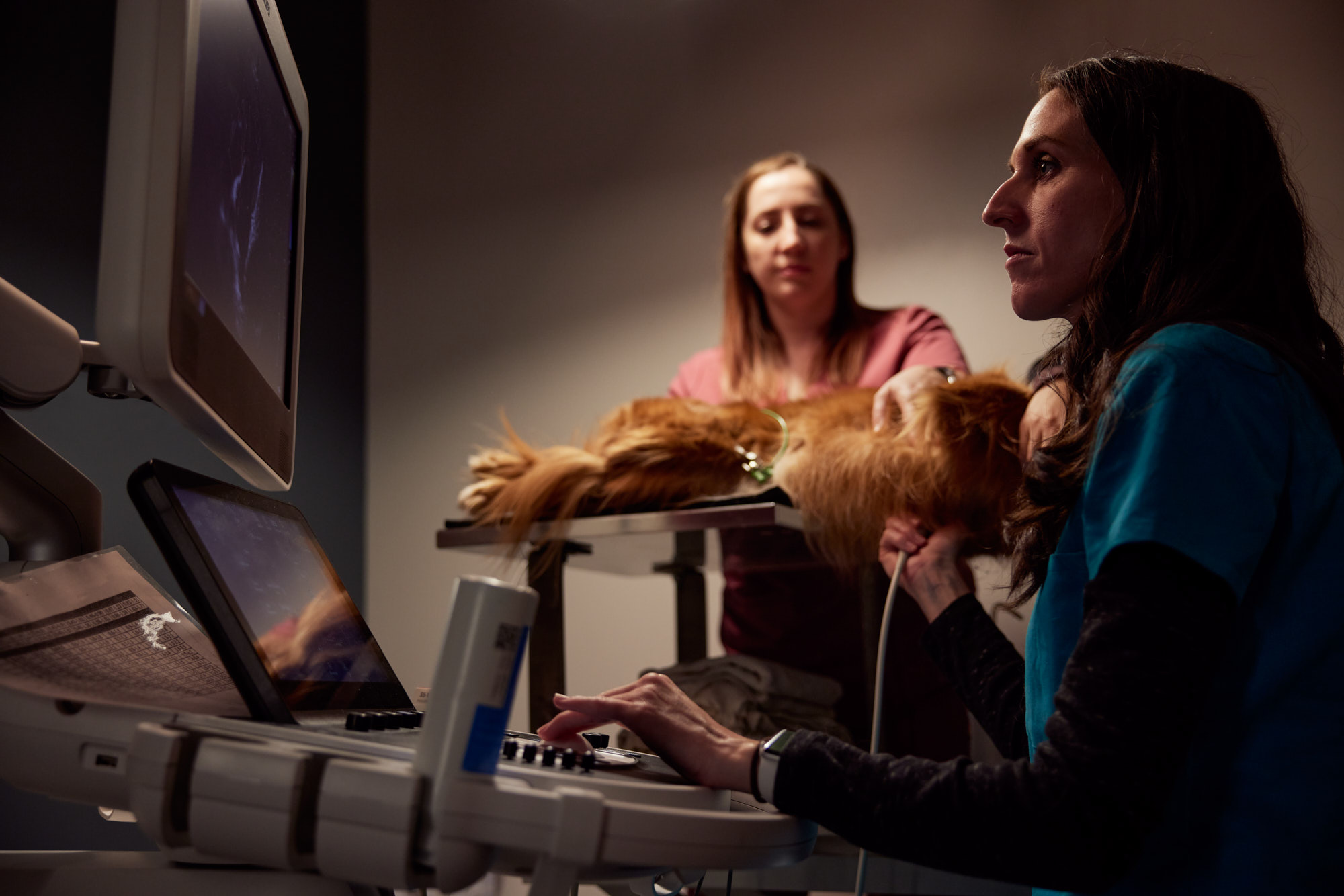 Veterinary Ultrasound | Healthcare Lifestyle Photography