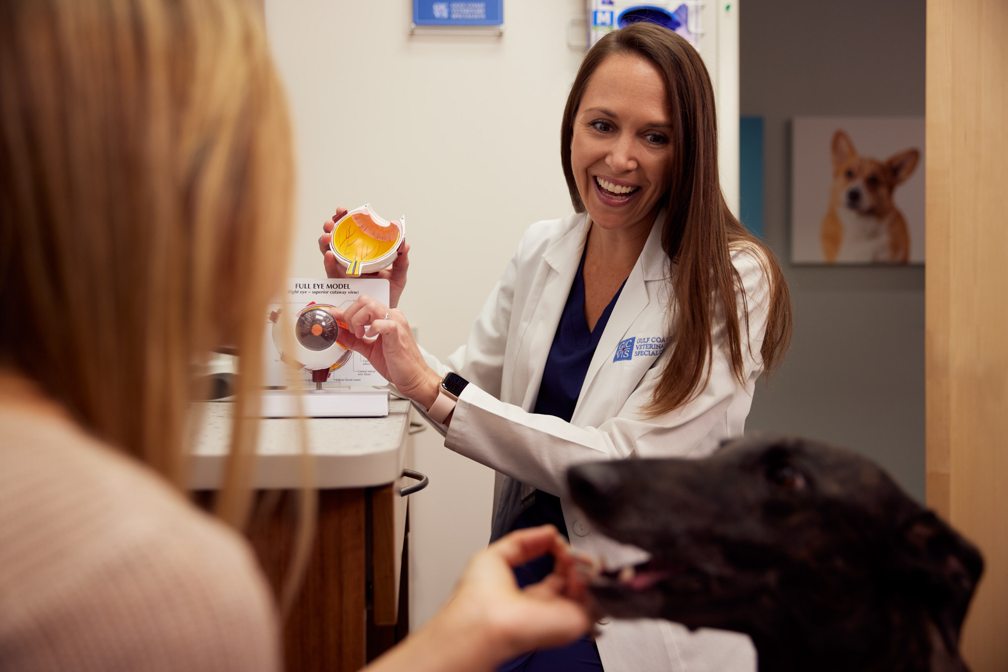 Smiling Veterinarian | Healthcare Lifestyle Photography