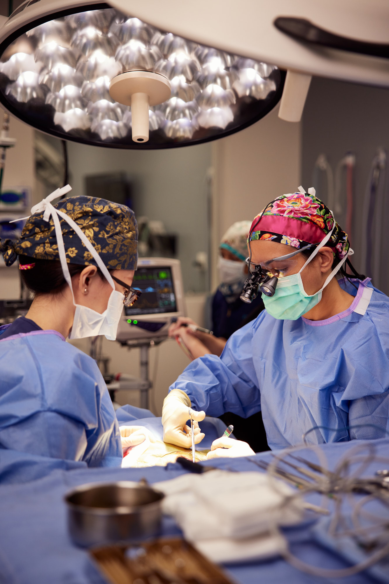 Veterinarians Perform Surgery | Healthcare Lifestyle Photography