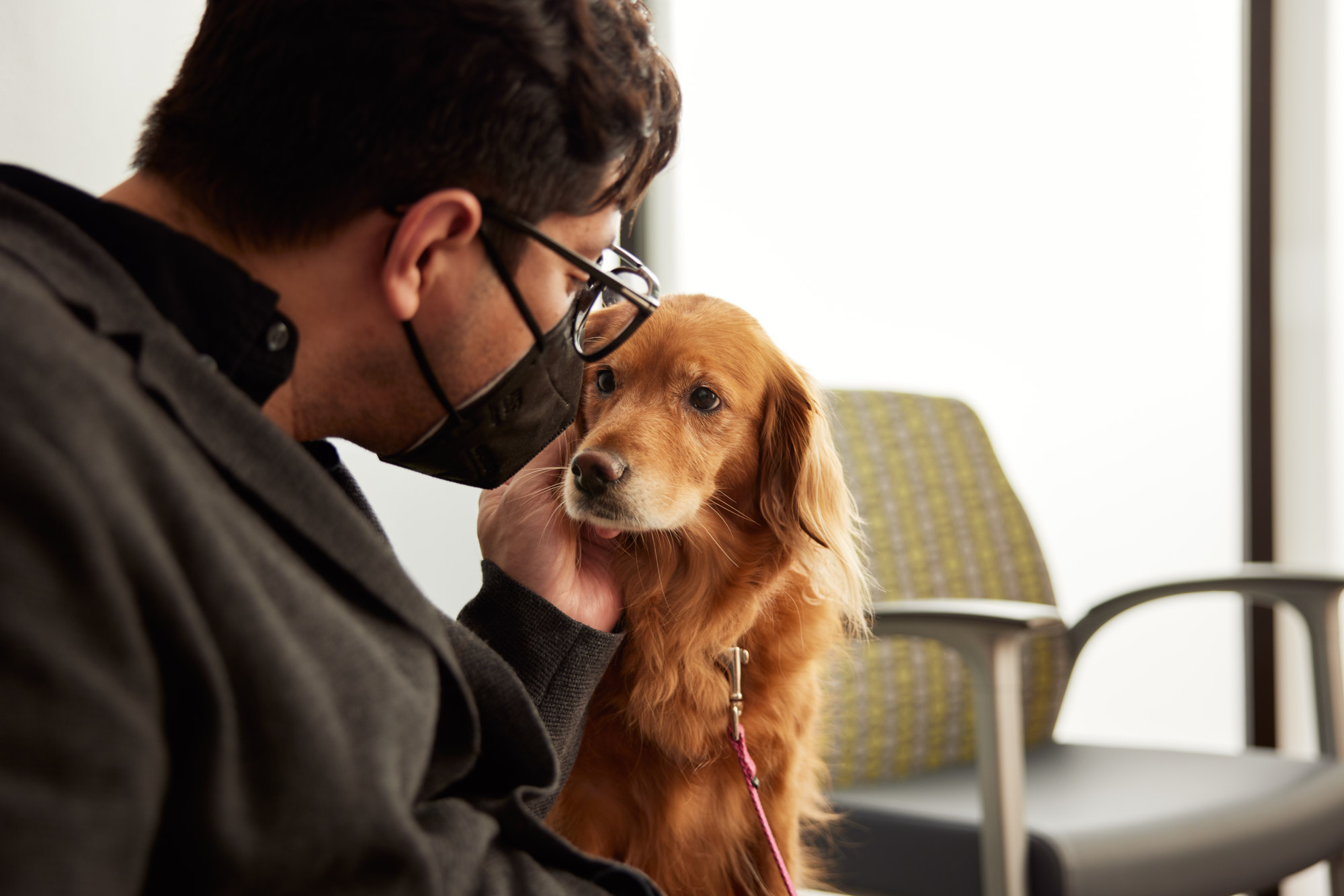 Owner and Golden | Healthcare Lifestyle Photography